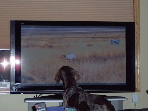 tv3.jpg