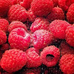 6148332_f54dbe909f_m.jpg raspberry image by carefulpeach