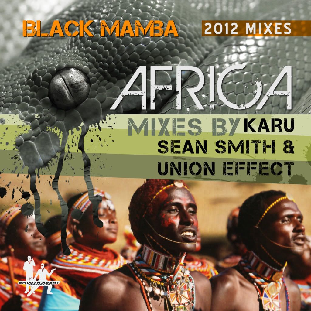 black mamba africa