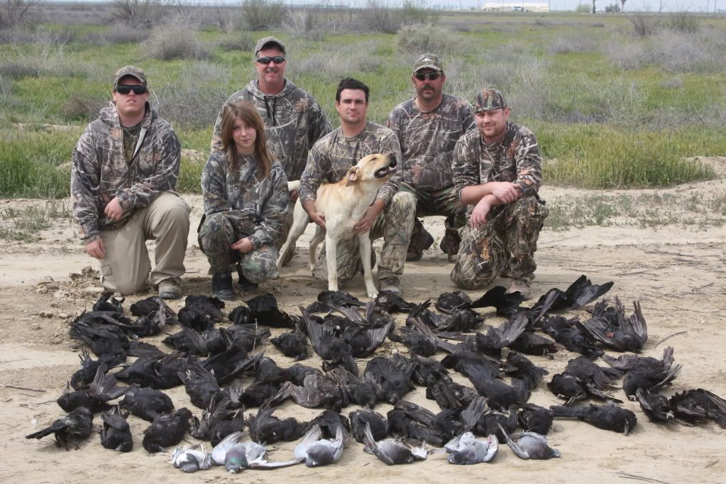 Goose Hunting Chat • Crow Hunting The Landing Zone