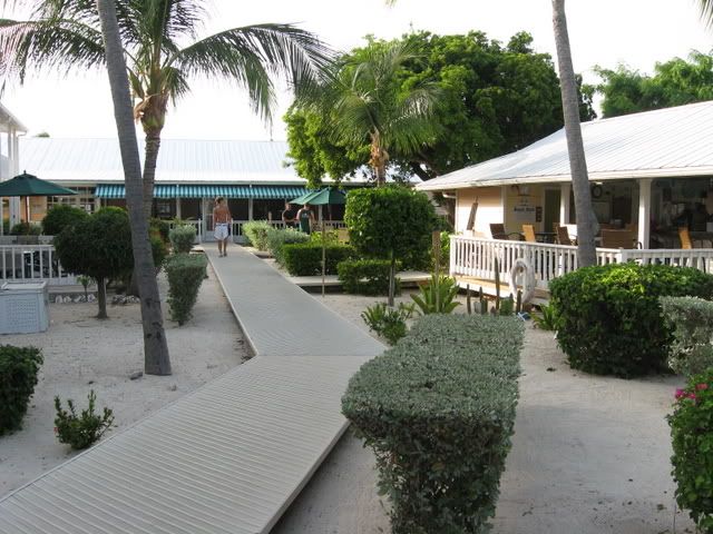 IMG_1747003.jpg