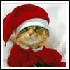 christmas_cat011.jpg