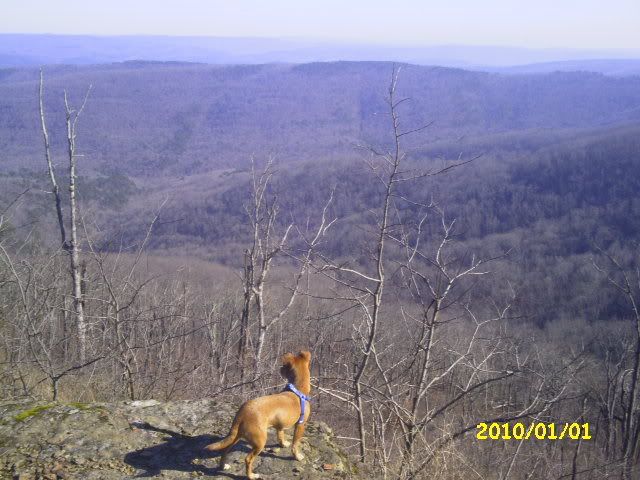 MyPictures123.jpg