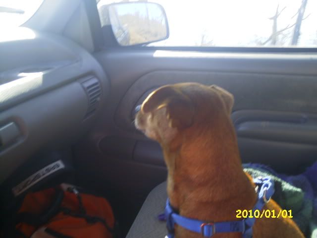 MyPictures160.jpg