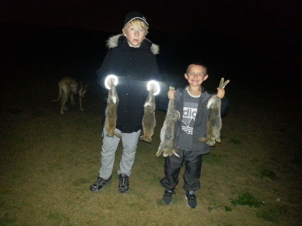 CnQdP-gyMAPsTAqjUlC-FC7u1gis4e-gP-1FQJIH