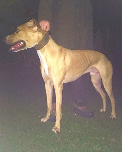 35a29480-faf5-492b-9596-a0591e784dda_zps