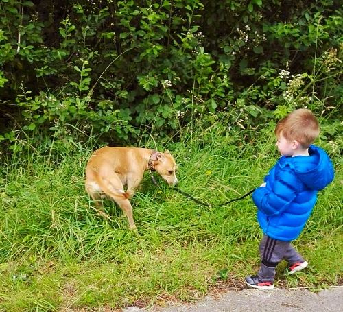 37cd5819-f67b-4a6f-9a7f-35f0f105202e_zps