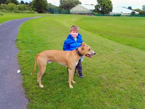 3df3033a-762c-4eb5-a75d-ea5188e03777_zps