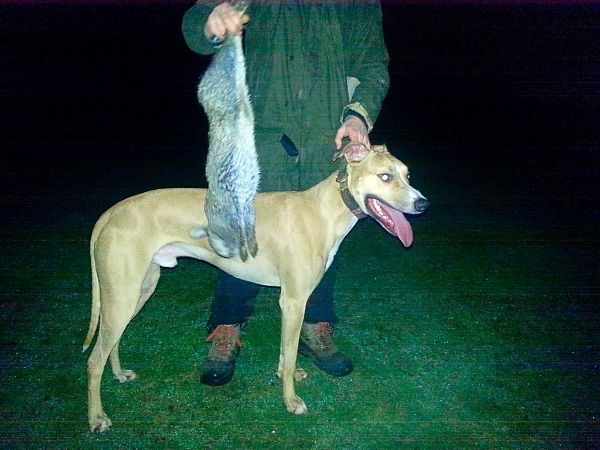 4a2a5240-c3ae-4299-96f5-a0b941f3049c_zps