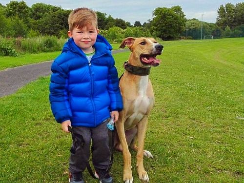 4b8269cb-399c-4ddd-bb50-995bdfb612fe_zps