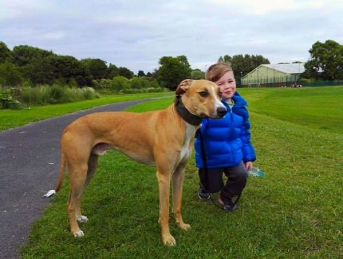 71dfa691-7939-4bbc-aca0-f3ea2ccf03bc_zps