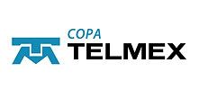 Copa Telmex ATP World Tour 
