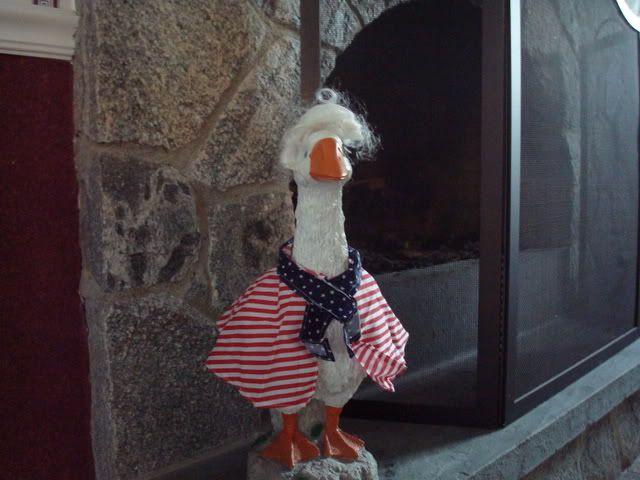 Dress up goose