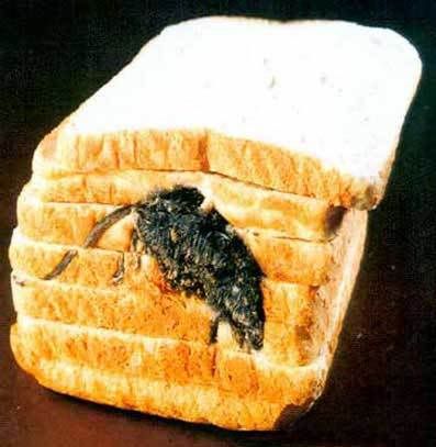 [Image: badbread.jpg]