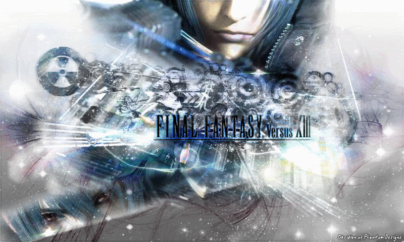 Final_Fantasy_Versus_XIII_by_C0ldS0.gif versus image by hellsing22