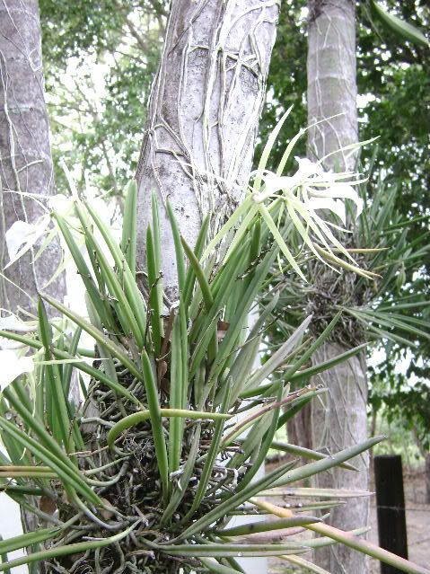 DSC00455.jpg