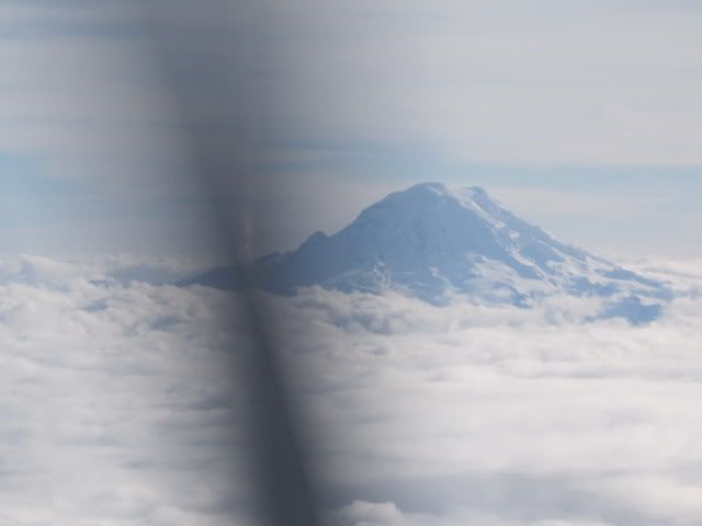 IMG_0265.jpg
