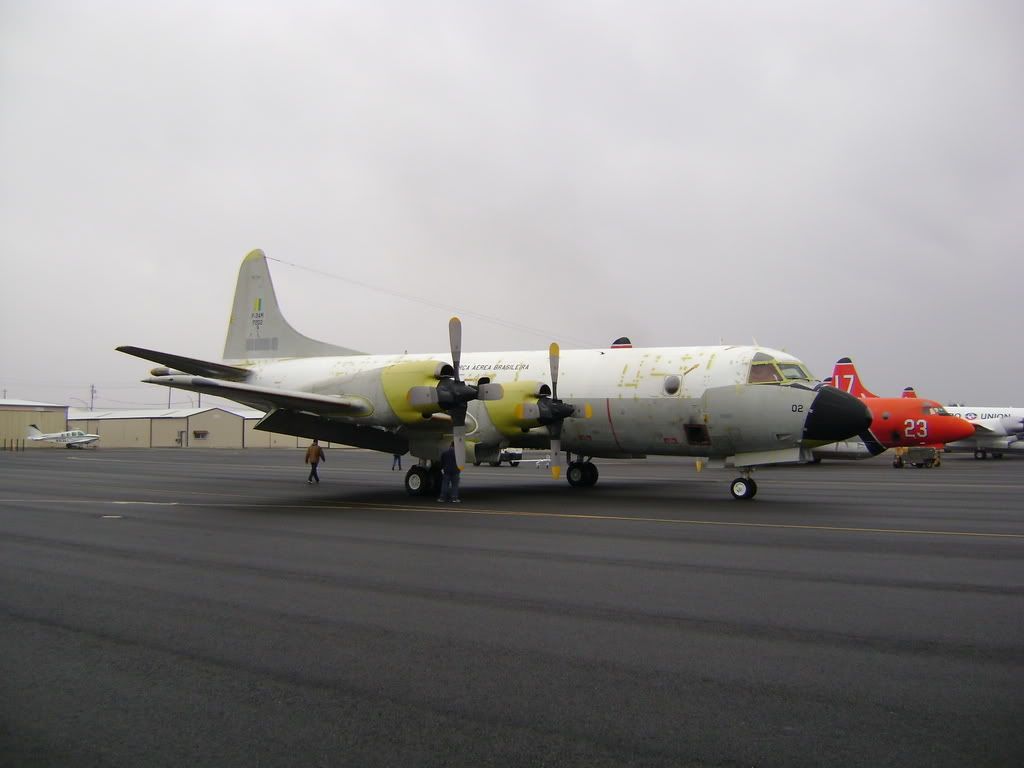 DSC00016.jpg