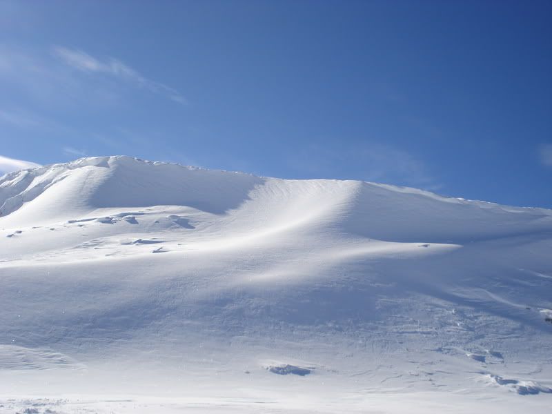 DSC00599-1.jpg