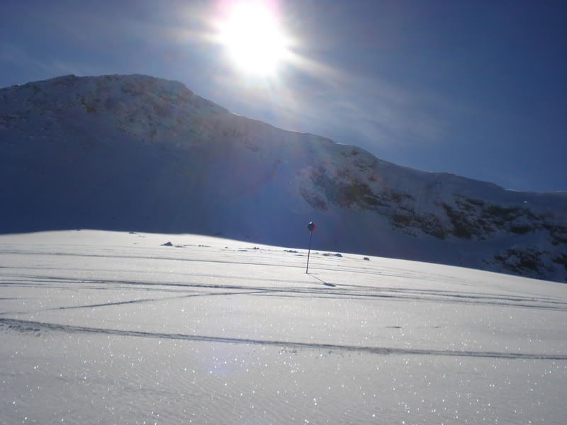 DSC00604.jpg