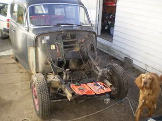 P3280031.jpg?t=1176065648