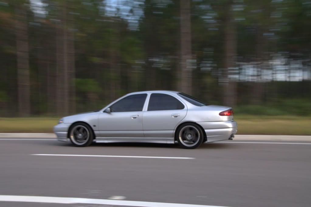 DSC_4315.jpg