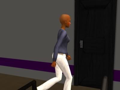 snapshot_d31aee9b_1340fb85.jpg