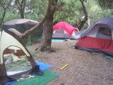 Dream Academy Camping Trips