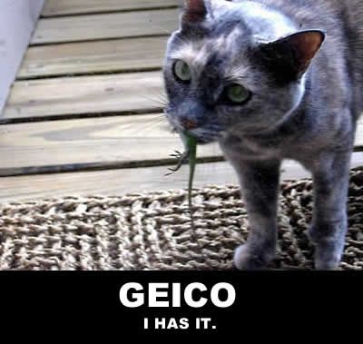 geico.jpg