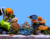Picture:Click to zoom Picture:Click to zoom