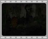 Reflection.mp4 video by linobee