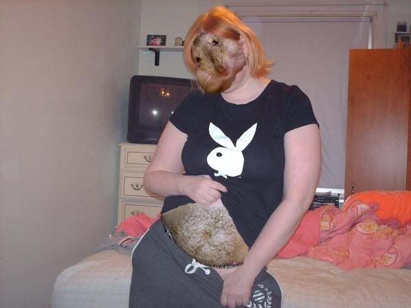 hams.jpg