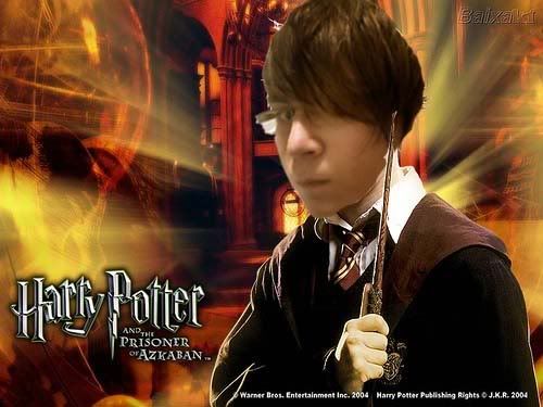 harry.jpg