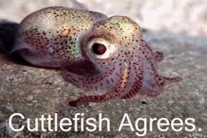 Forum Image: http://i176.photobucket.com/albums/w187/Humdingerdama/cuttlefish_agrees.jpg