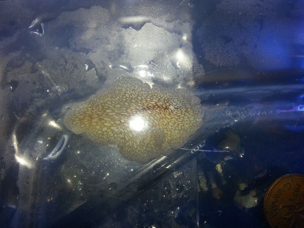 20120907_191719.jpg