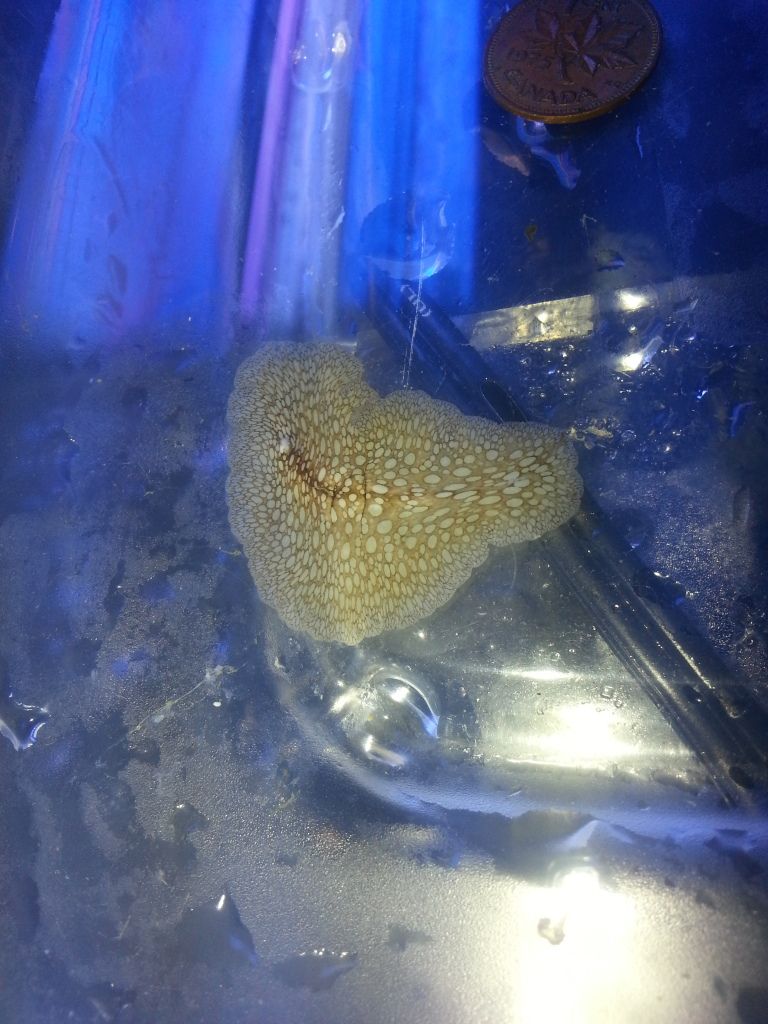 20120907_191731.jpg