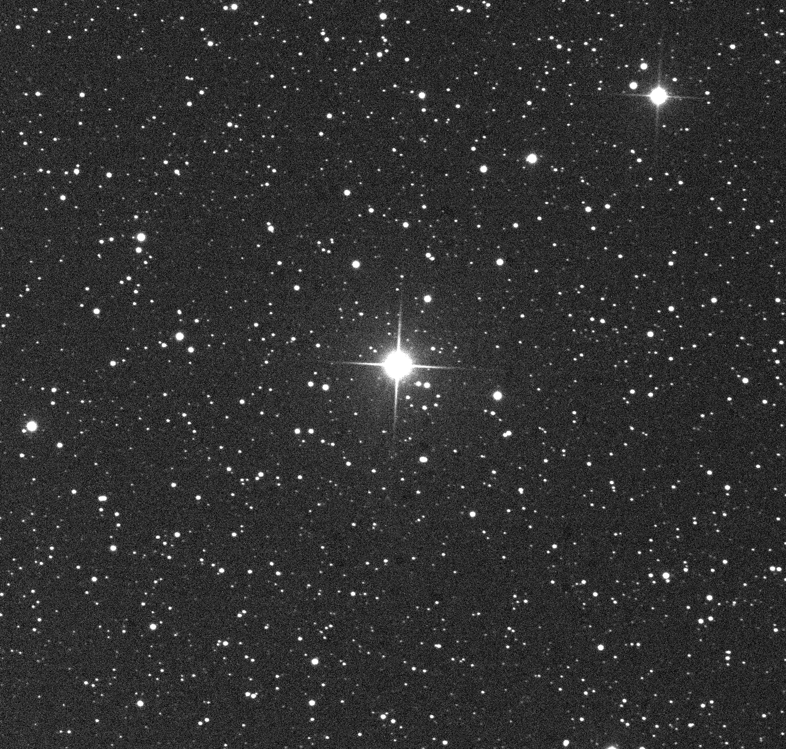 Animation of Possible Nova in Del by E. Guido & N. Howes photo gif_1531x1459_2db958_zps3f68f105.gif