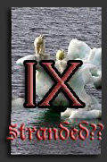 Stranded Bears? It's a Moral Issue Says Gore!