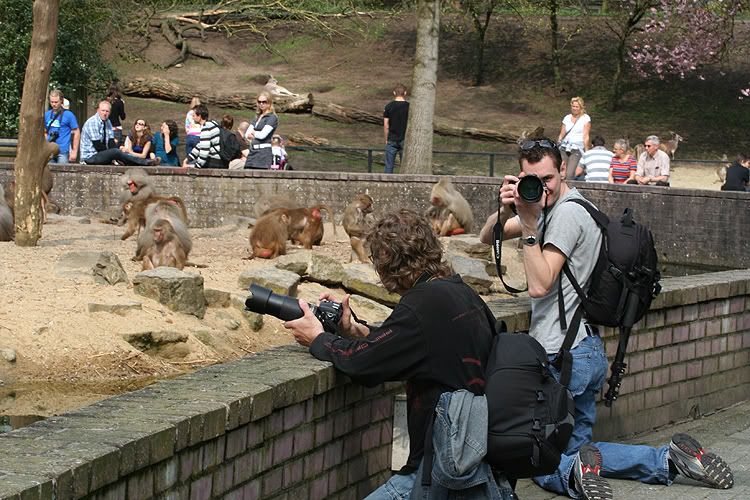 Fotografie