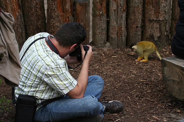 Fotografie