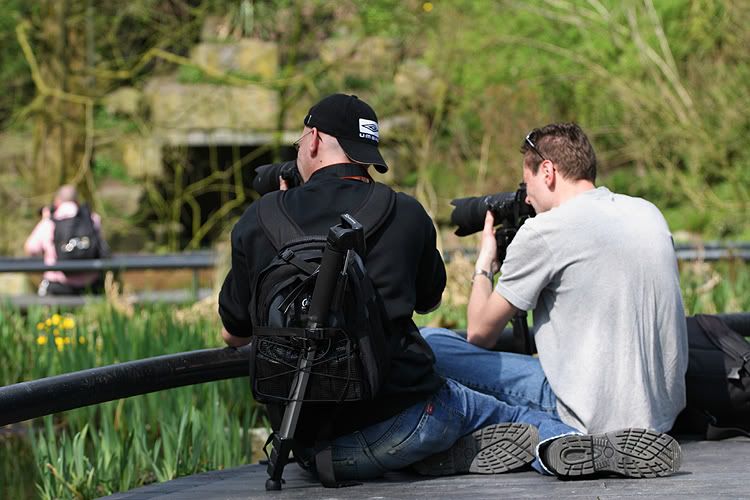Fotografie