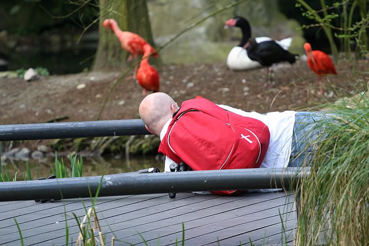 Fotografie