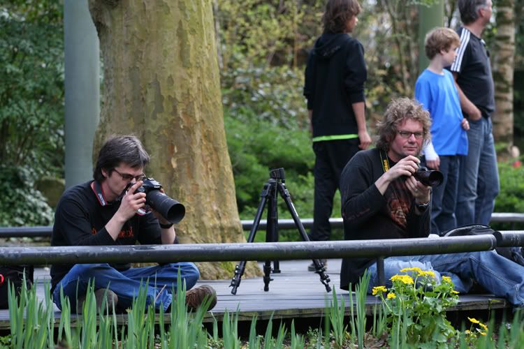 Fotografie