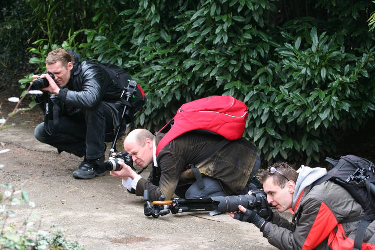 Fotografie