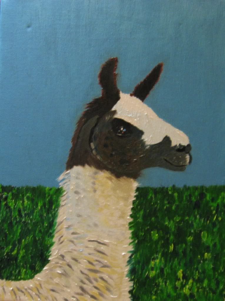 Llama.jpg