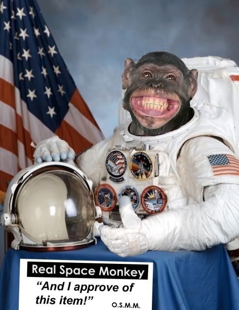 SpaceMonkeySpokespersondcopy.jpg