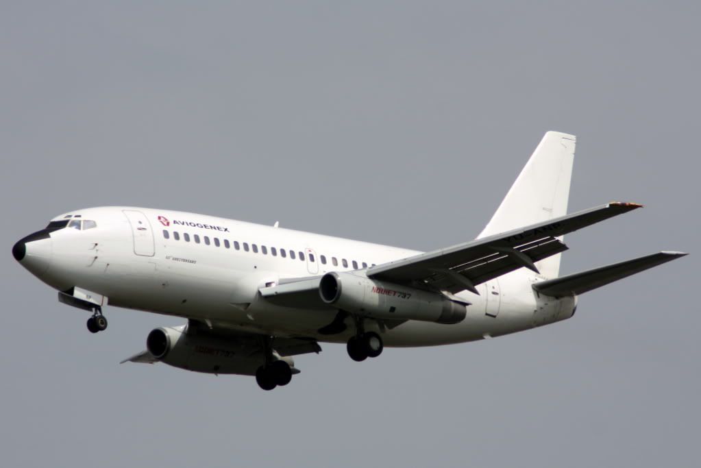 http://i176.photobucket.com/albums/w198/jon_davies/Aviogenex737-200.jpg