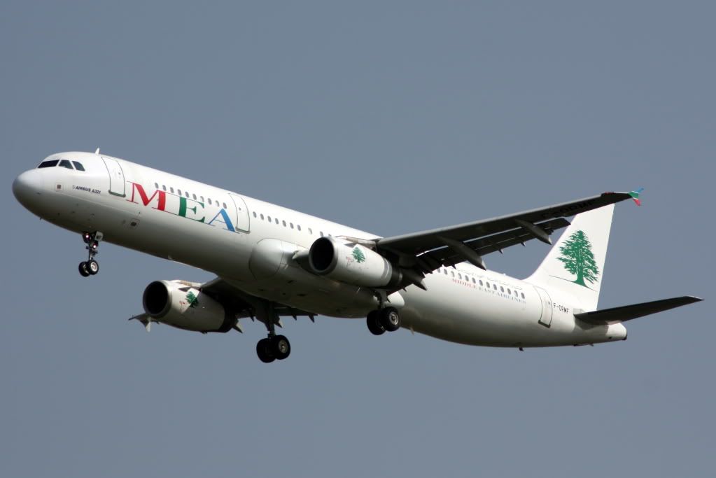 http://i176.photobucket.com/albums/w198/jon_davies/MiddleEasternAirlines.jpg