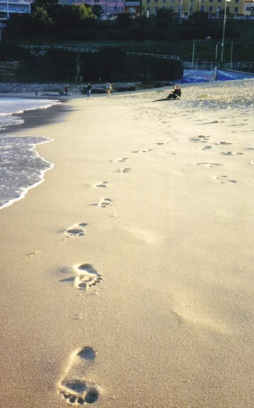 footprints.jpg jj's footprints in bondi beach image by albqteme04