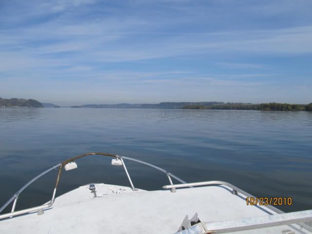 IMG_0085.jpg